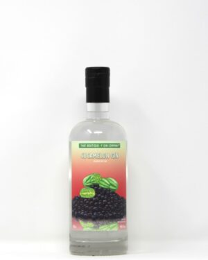THAT BOUTIQUE-Y GIN CO CUCAMELON GIN