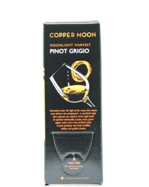 COPPER MOON PINOT GRIGIO 4L