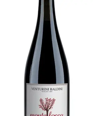 VENTURINI BALDINI MONTELOCCO LAMBRUSCO