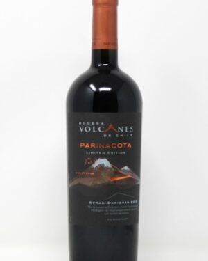 VOLCANES DE CHILE PARINACOTA