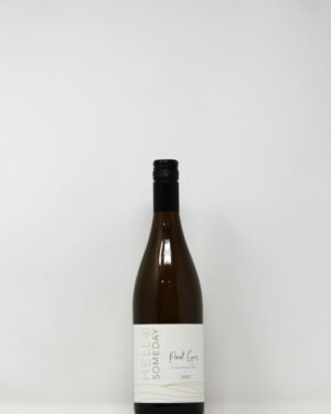 HELLO SOMEDAY PINOT GRIS