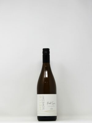 HELLO SOMEDAY PINOT GRIS (13.8% abv)