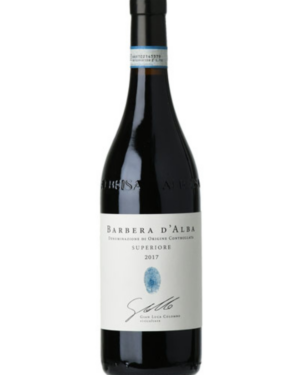 SEGNI DI LANGA - BARBERA D'ALBA SUPERIOR
