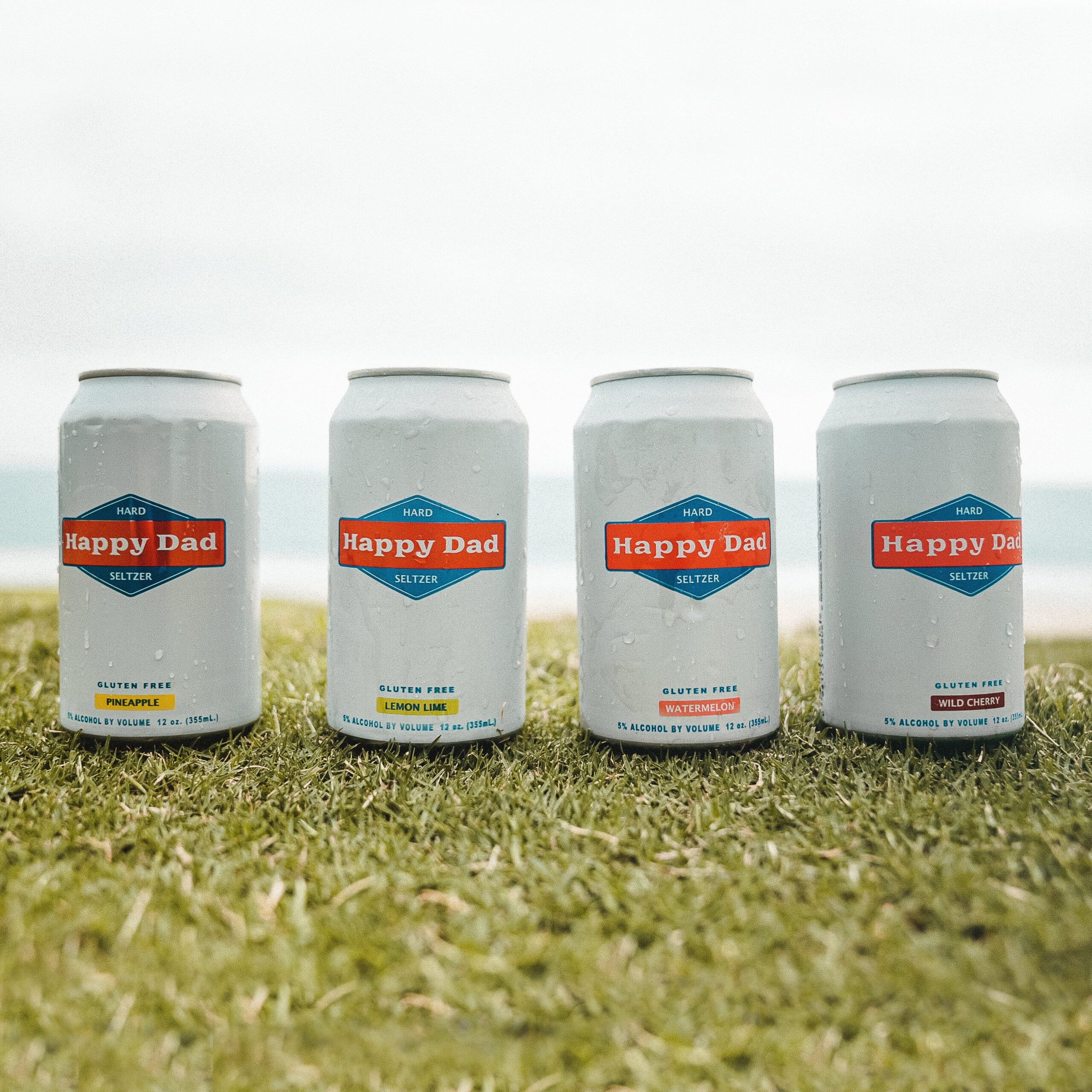HAPPY DADS 4PK 355ML