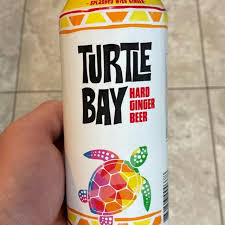 turtle boy ginger beer